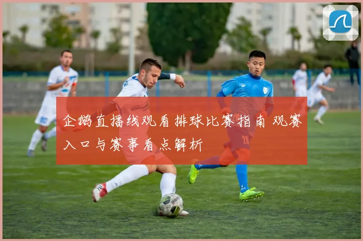 企鹅直播线观看排球比赛指南 观赛入口与赛事看点解析