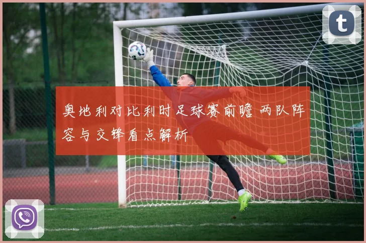 奥地利对比利时足球赛前瞻 两队阵容与交锋看点解析