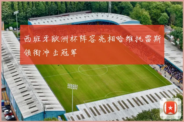 西班牙欧洲杯阵容亮相哈维托雷斯领衔冲击冠军