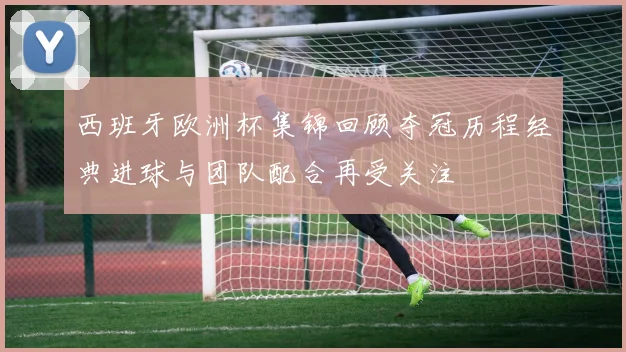 西班牙欧洲杯集锦回顾夺冠历程经典进球与团队配合再受关注